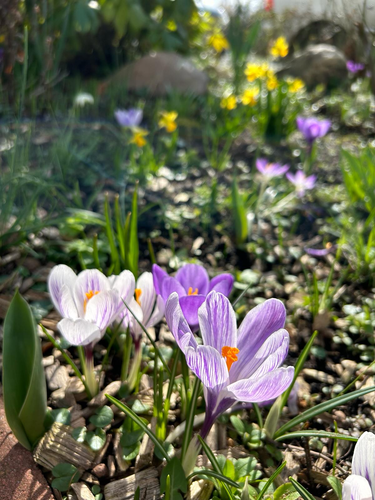 Foto: Philipp Wendt, CDA Braunschweig